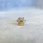 Labret Rosca Interna Titânio Pata Zircônias - Imagem 8