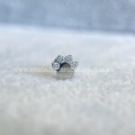 Labret Rosca Interna Titânio Pata Zircônias - Imagem 7