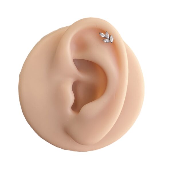 Labret Rosca Interna Titânio Raminho Zircônias - Imagem 5