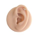 Labret Rosca Interna Titânio Raminho Zircônias - Imagem 6