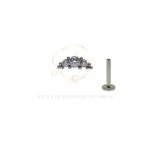 Labret Aço Rosca Interna Cluster Indiano Zircônias - Imagem 2