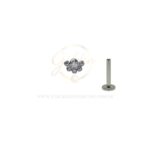 Labret Aço Rosca Interna Meia Flor Zircônias - Imagem 2