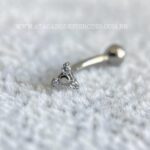 Minibarbell Curvo Titânio Rosca Interna Trinity Zircônias - Imagem 2