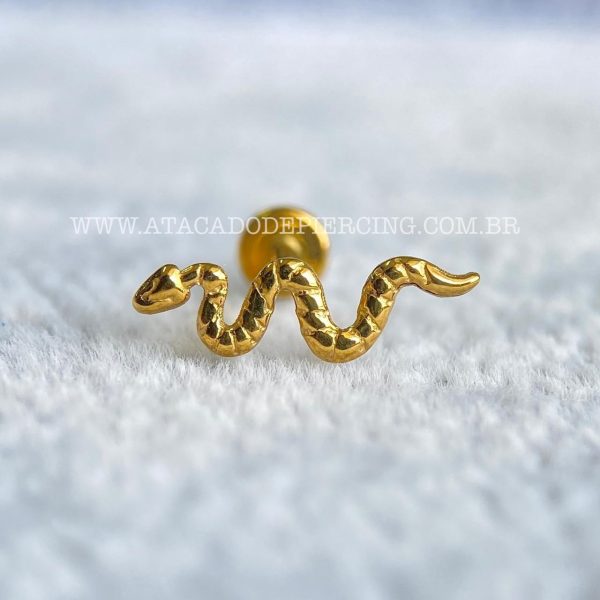 Labret Rosca Interna Titânio Cobra - Imagem 4