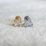 Labret Rosca Interna Titânio Zircônias