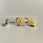 Kit Microdermal Titânio Topo Ouro 18K Flor Sakura Zircônias - Imagem 5