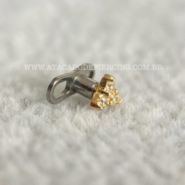 Kit Microdermal Titânio Topo Ouro 18K Trinity Zircônias - Imagem 3