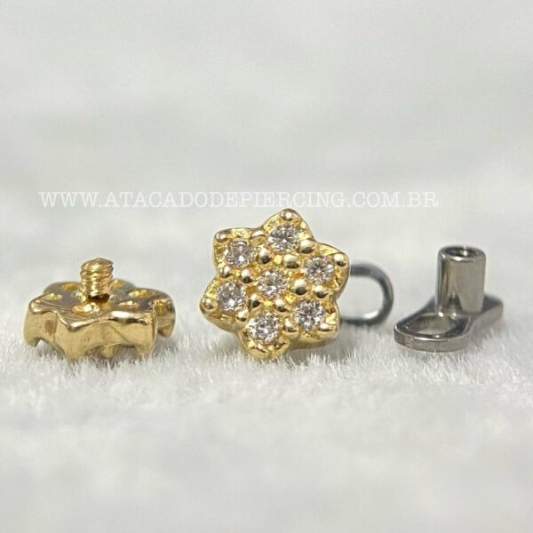 Kit Microdermal Titânio Topo Ouro 18K Flor Zircônias - Imagem 1