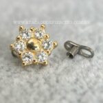 Kit Microdermal Titânio Topo Ouro 18K Flor Zircônias
