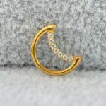 Segmento Articulado Titânio Lua Zircônias - Imagem 3