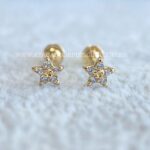 Brinco Ouro 18K Estrela Zirconias
