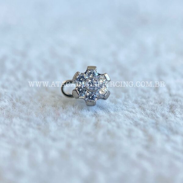 Kit Microdermal Titânio Flor Zircônias - Imagem 1