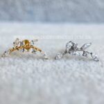 Labret Rosca Interna Titânio Ramo Zircônias