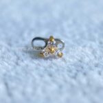 Kit Microdermal Titânio Trinity Zircônias - Imagem 2