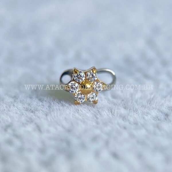 Kit Microdermal Titânio Flor Zircônias - Imagem 2