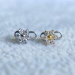 Kit Microdermal Titânio Flor Zircônias