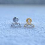 Labret Rosca Interna Titânio Trinity Zircônias