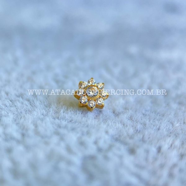 Topo Microdermal Titânio Flor Zircônias - Imagem 6