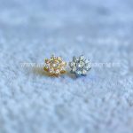 Topo Microdermal Titânio Flor Zircônias
