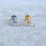 Labret Rosca Interna Titânio Cruz Zircônias